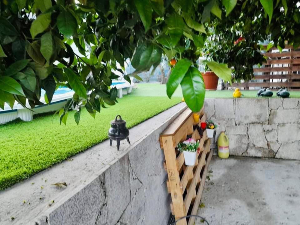 Casa Nunes Pinhao Exterior photo